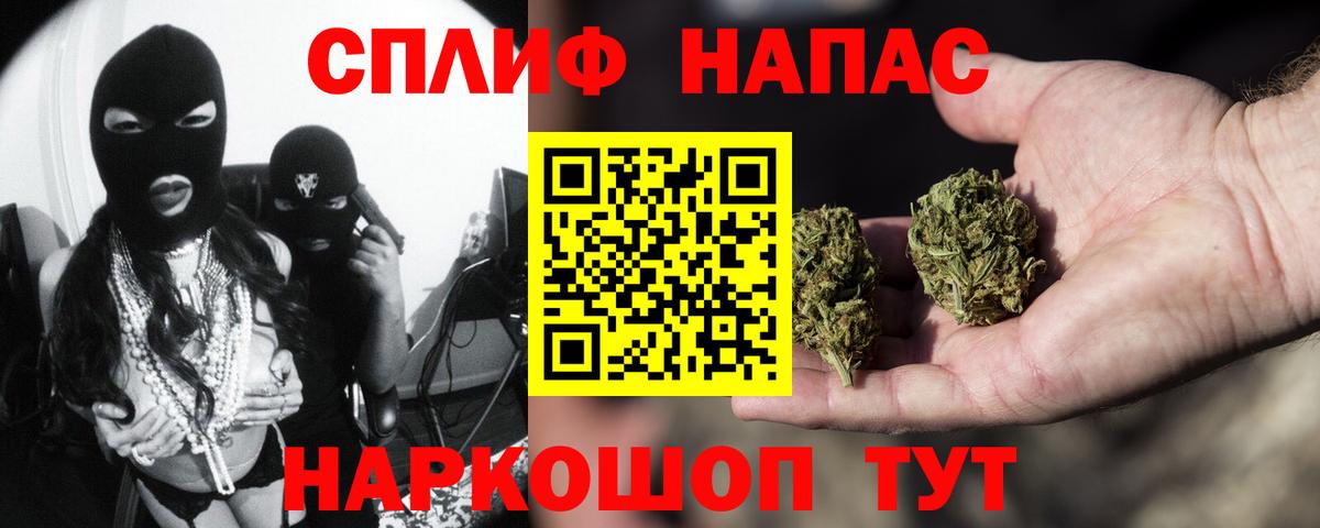 Канабис план Томск